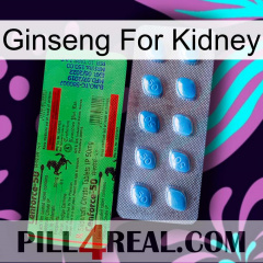 Ginseng For Kidney new03